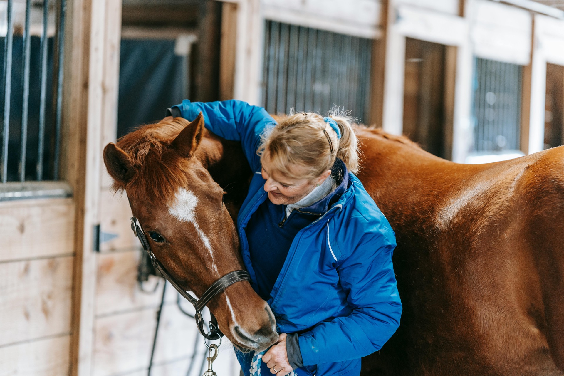 Equine healing therapy