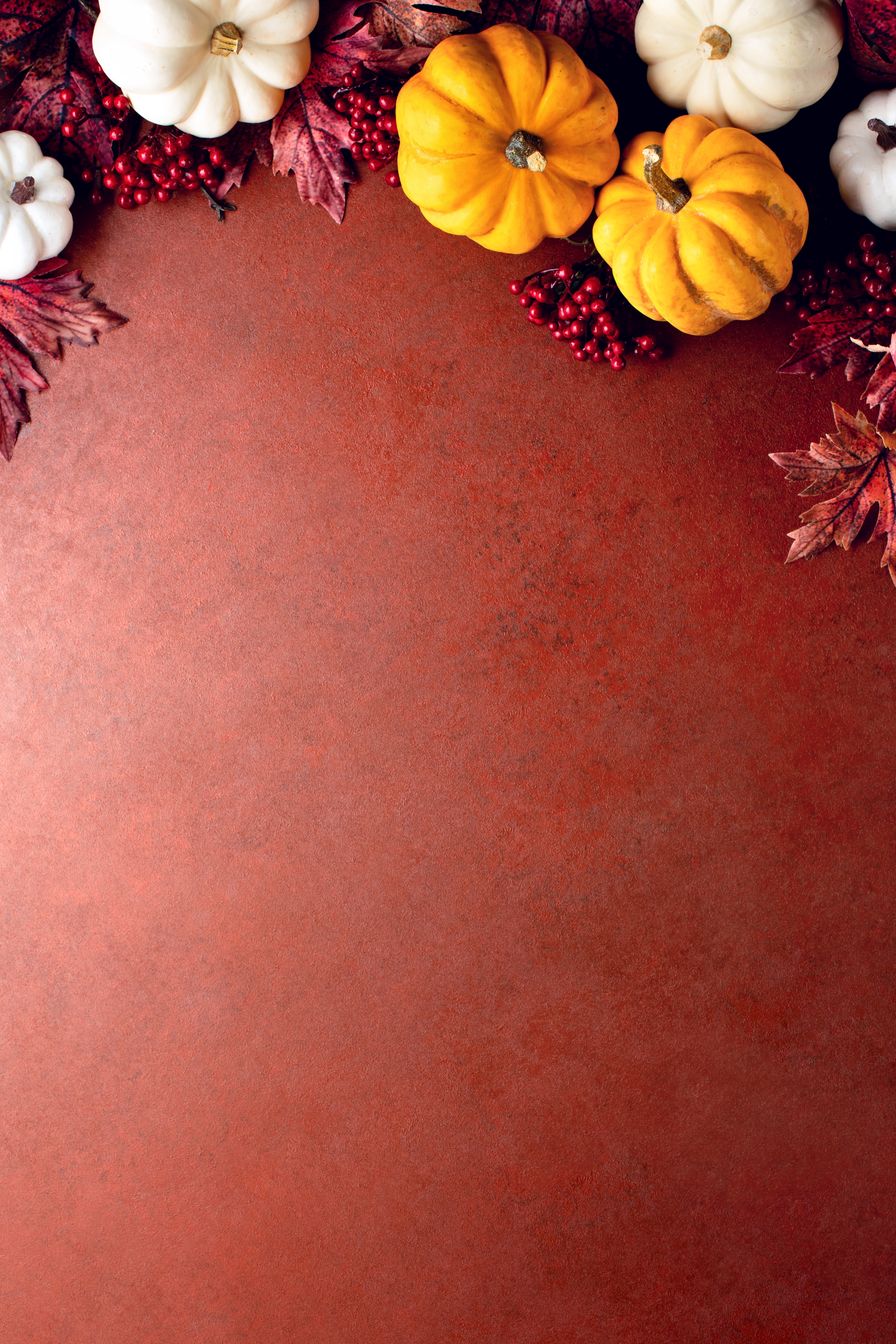 Fall Festival Turkey Giveaway